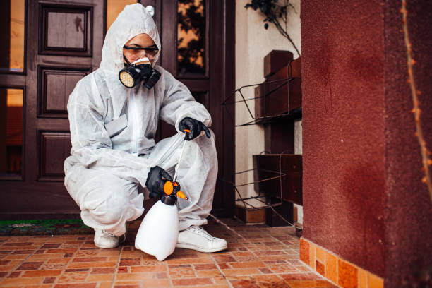 Reliable Ant Control contractor in Mount Hermon, VA by Nex Pest Control